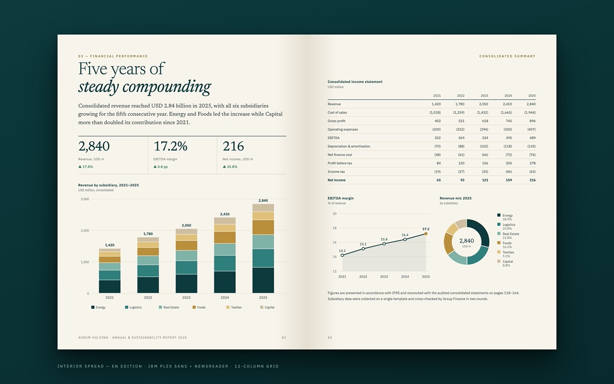 Aurum Holding — Interior spread: financial performance, charts and consolidated table